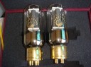 Shuguang Psvane 845-T Tube